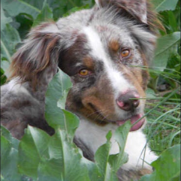 Meet your Posher, Serena - Picture 3 of 5